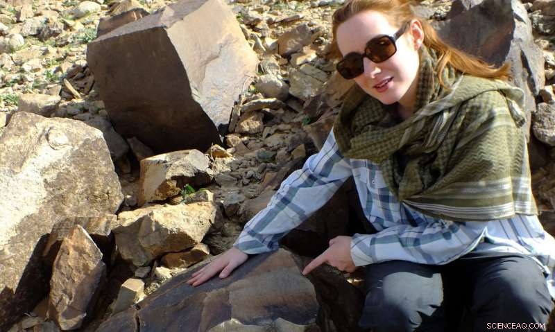 New Research Dates Arabian Stone Handaxes to Within the Last 100,000 Years, Extending the Acheulean Legacy