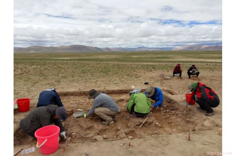 New Tibetan Plateau Site Pushes Back Human Settlement Timeline by 20,000 Years