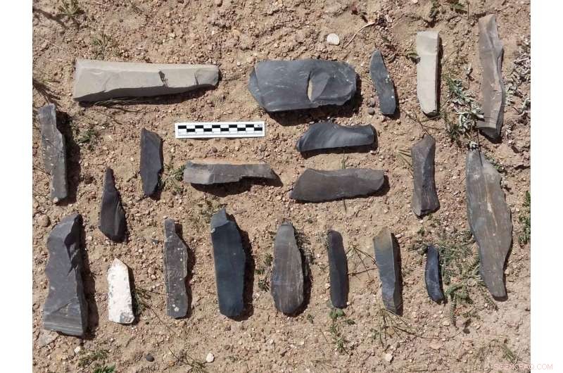 New Tibetan Plateau Site Pushes Back Human Settlement Timeline by 20,000 Years