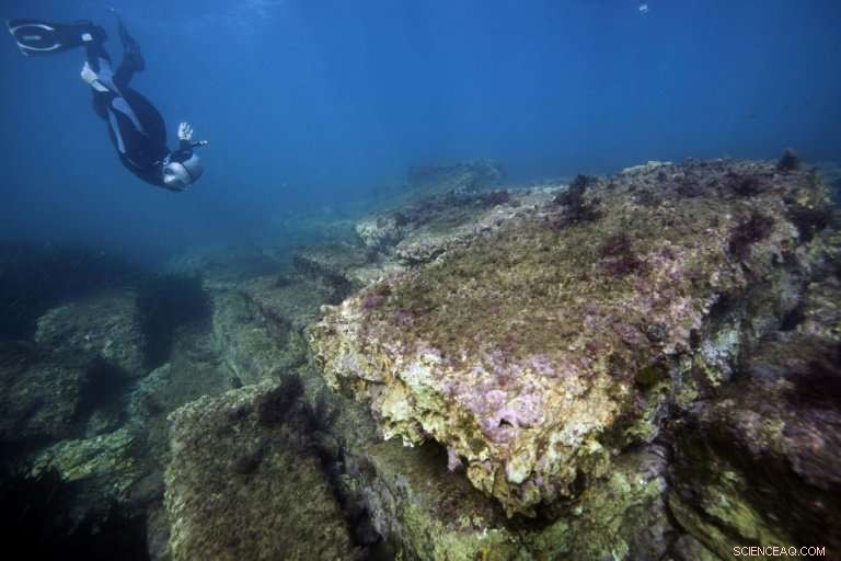 Unearthing Olbia: Exploring the 2,000-Year-Old Sunken Roman Port Off France s Coast