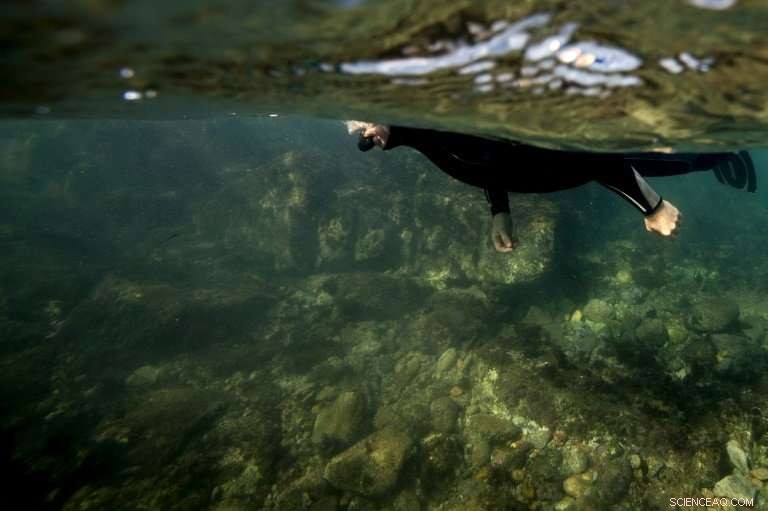 Unearthing Olbia: Exploring the 2,000-Year-Old Sunken Roman Port Off France s Coast