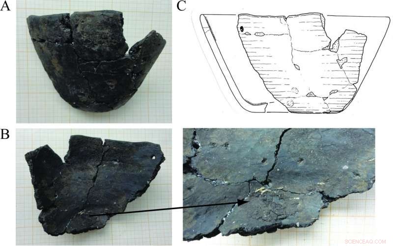 New Study Reveals Mesolithic Cooks Were More Advanced Than Previously Believed, Based on 6,000-Year-Old Earthenware Bowl