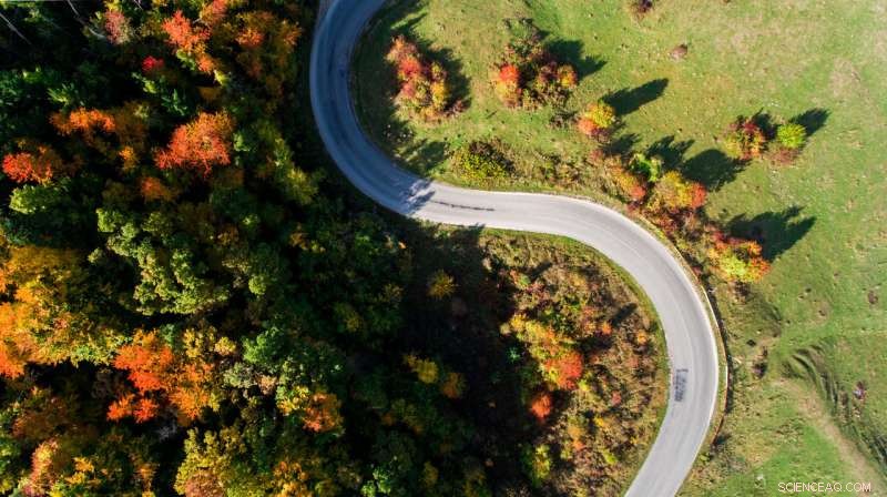 Neoliberal Market Values of Nature: How Pricing Shapes Our Perception