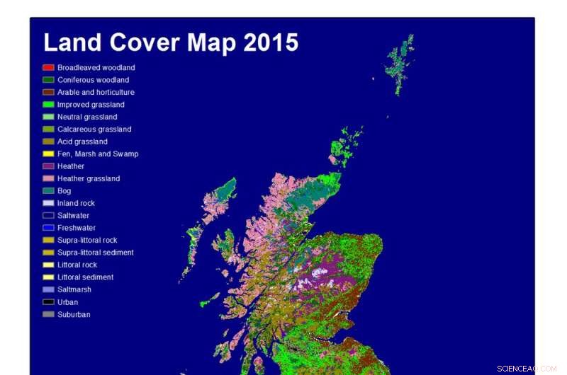 Neoliberal Market Values of Nature: How Pricing Shapes Our Perception
