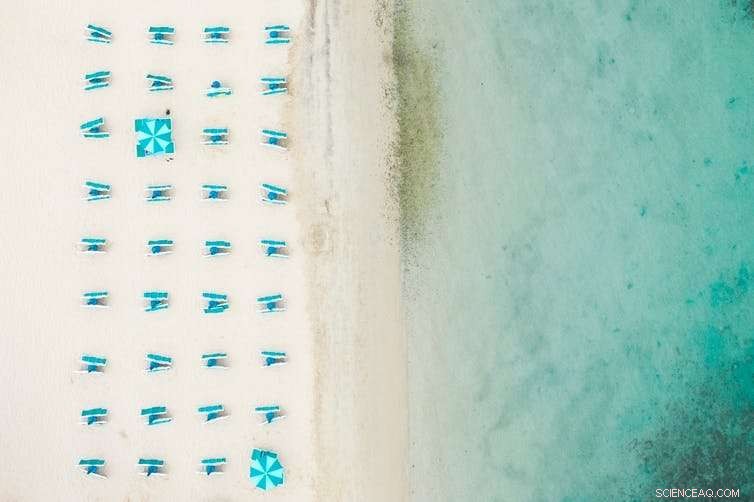 Neoliberal Market Values of Nature: How Pricing Shapes Our Perception