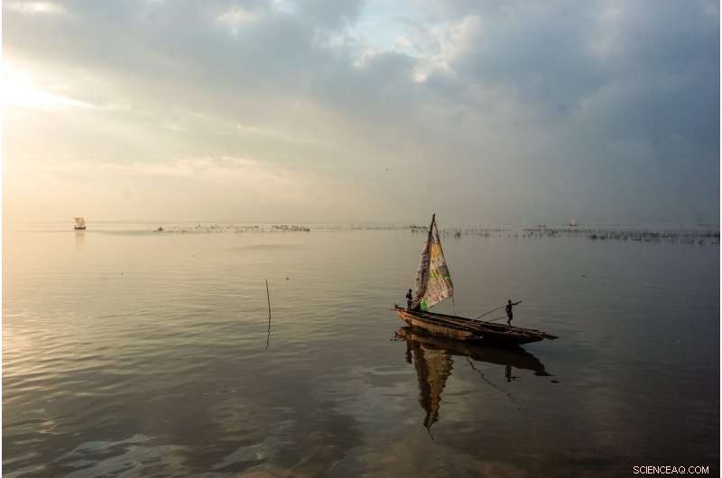 Declining Fish Stocks in Nigeria Could Endanger Regional Security