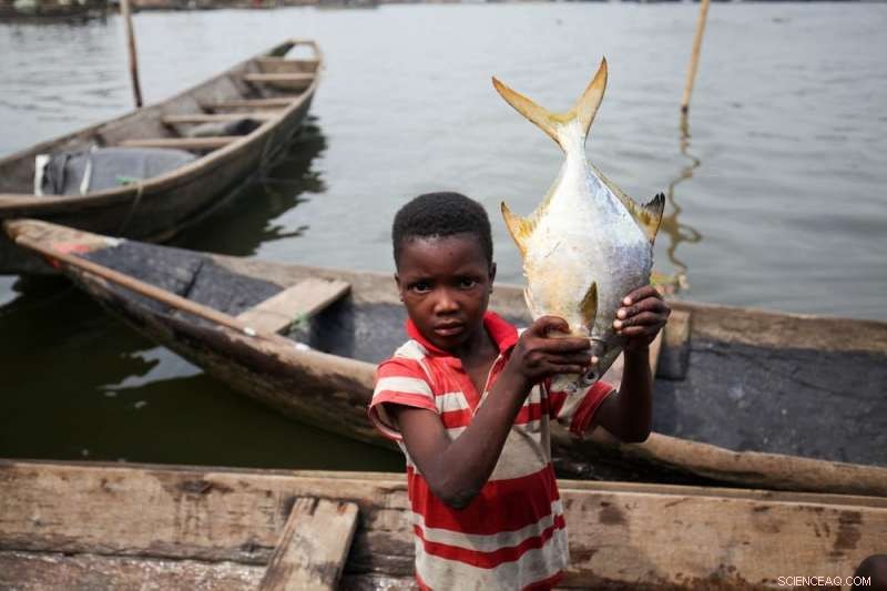 Declining Fish Stocks in Nigeria Could Endanger Regional Security