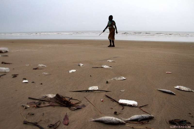 Declining Fish Stocks in Nigeria Could Endanger Regional Security