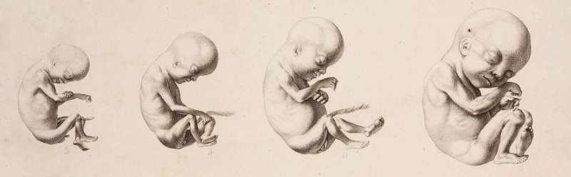 Tracing Reproduction: From Hippocrates to Modern IVF