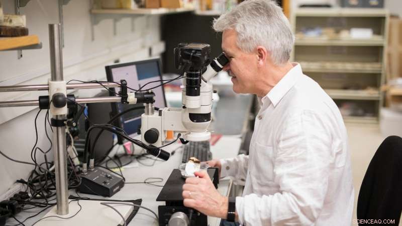 New Research Rewrites Iroquoian History, Redefining Early Indigenous–European Interactions