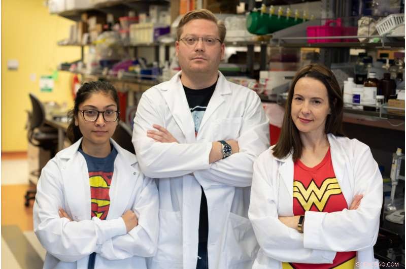 Ant-Man & the Wasp: Tiny Triumphs Unveiled by Superhero Science