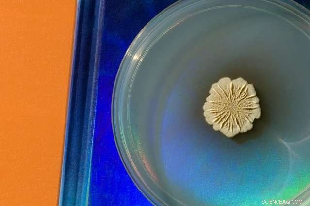 New Book Reveals Proven Techniques for Scientists to Create Clear, Engaging Images