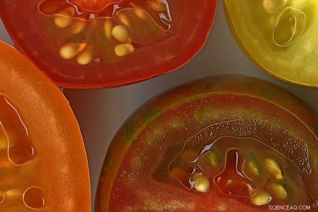 New Book Reveals Proven Techniques for Scientists to Create Clear, Engaging Images