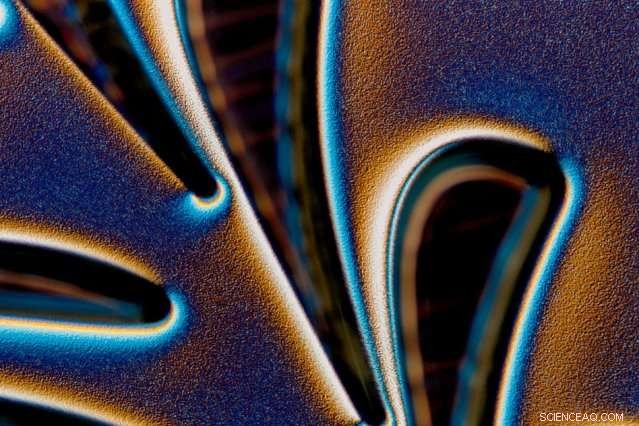 New Book Reveals Proven Techniques for Scientists to Create Clear, Engaging Images