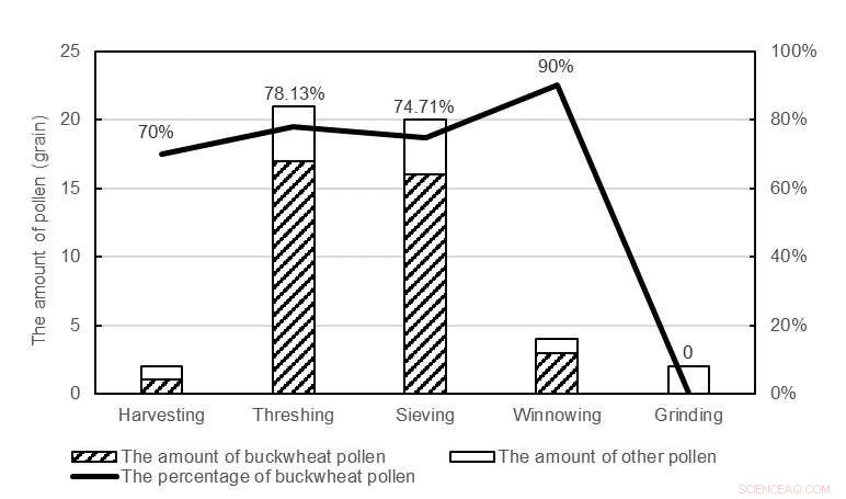 Tracing Buckwheat Pollen Dispersion During Traditional Processing: Insights into Ancient Agricultural Practices