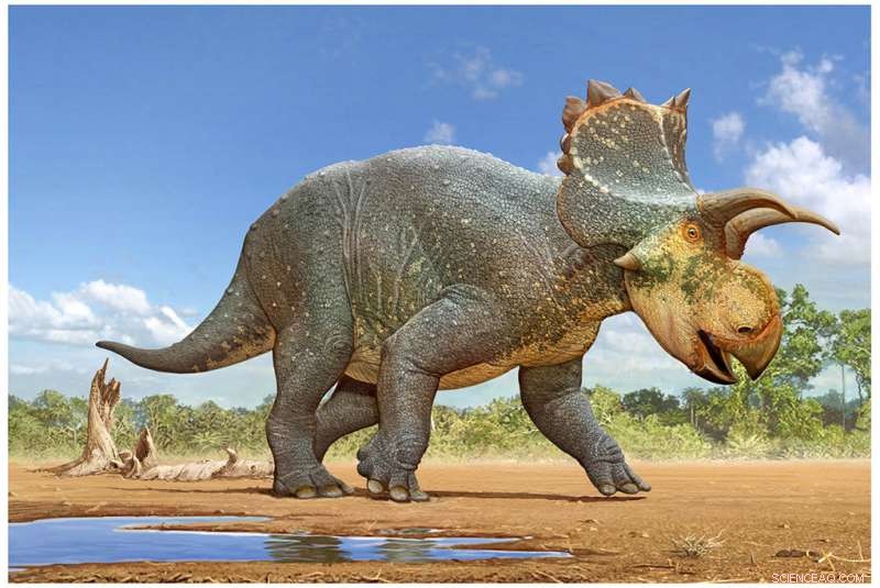 Scientists Unveil Crittendenceratops: A New Horned Dinosaur Unearthed in Arizona
