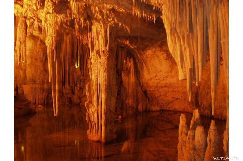 New stalagmite discovery promises to refine carbon‑14 dating accuracy