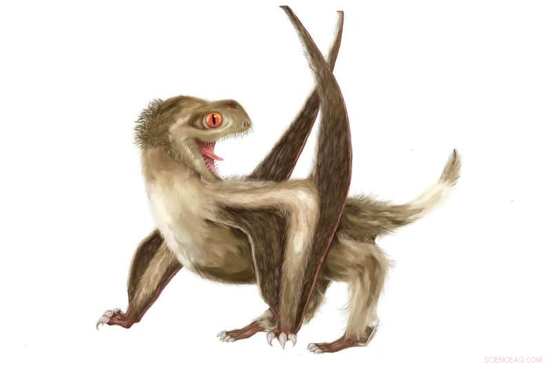 Feather Evolution Rewritten: Pterosaurs Show Four Feather Types, Pushing Origin 70 Million Years Earlier