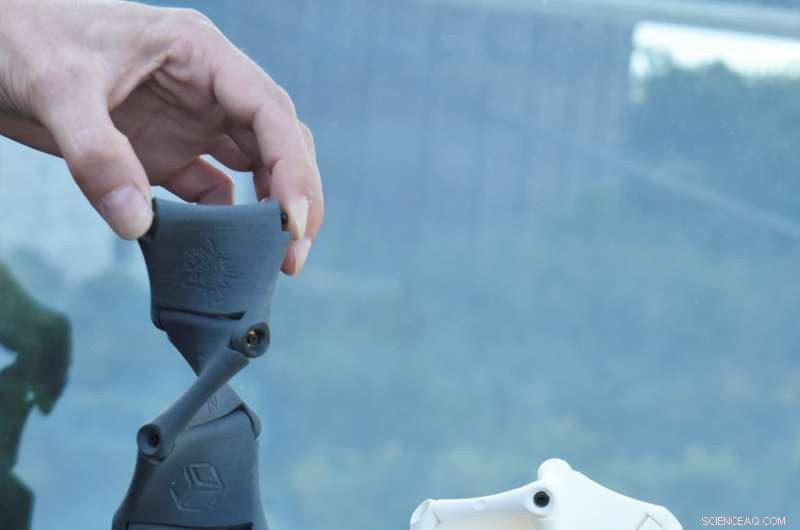 Möbius Kaleidocycles: Cutting-Edge Paper & 3D-Printed Designs Bridging Science, Math, and Art