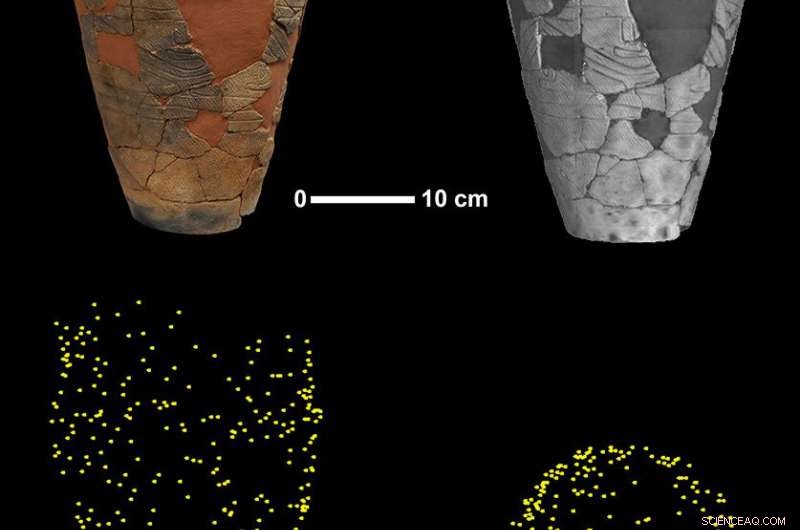 Jomon Period Pottery Reveals 500 Maize Weevils: A Window into Ancient Japanese Culture