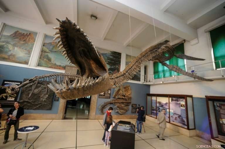 Argentina Unveils 65-Million-Year-Old Plesiosaur Replica in Patagonia
