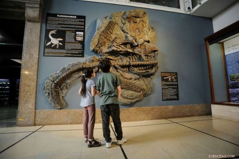 Argentina Unveils 65-Million-Year-Old Plesiosaur Replica in Patagonia