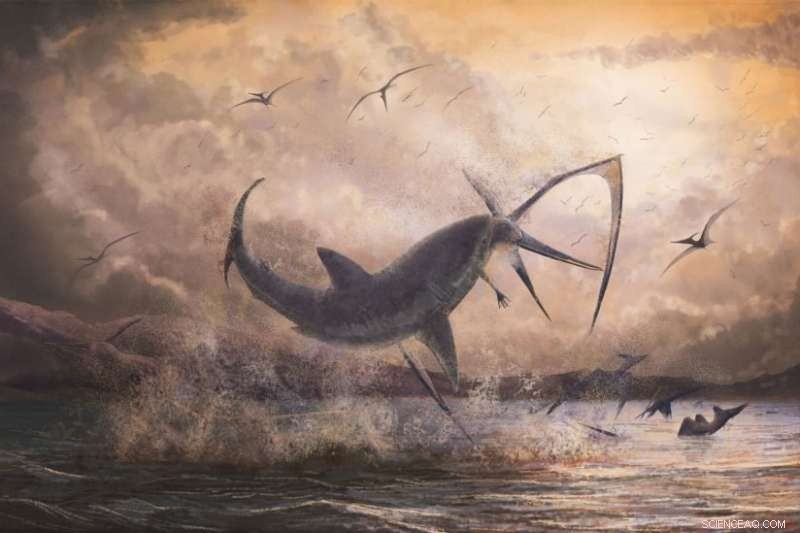 Fossil Reveals Prehistoric Shark Attacking Pterosaur Mid‑Flight