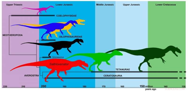 Newly Discovered Giant Jurassic Predator Unearthed in the Italian Alps