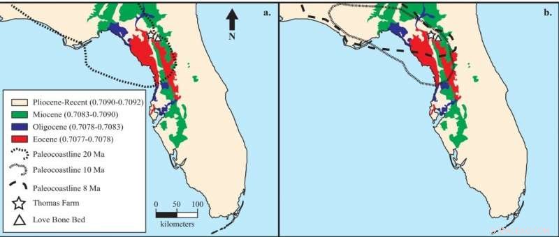 New UC Study Reveals Prehistoric Florida Horses Were Stationary, Not Migratory