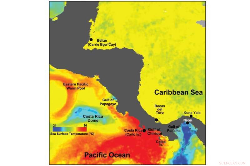 Surfer s Ear Discoveries Uncover Ancient Panama Pearl Divers