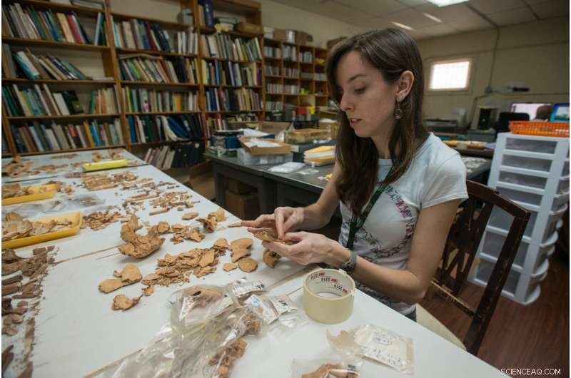 Surfer s Ear Discoveries Uncover Ancient Panama Pearl Divers