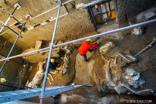 Rare Pompeii Horse Skeleton Unearthed, Indicating Elite Military Ownership