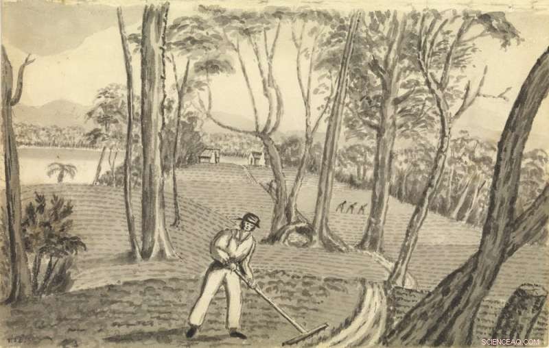 Beyond Digging: How Archaeology Reveals History