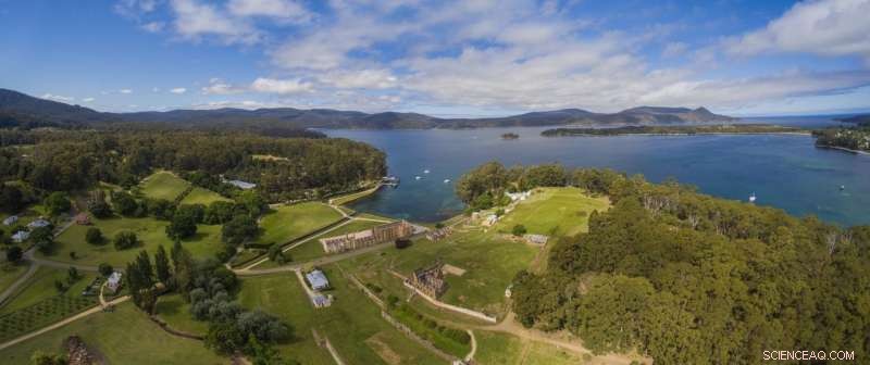 Beyond Digging: How Archaeology Reveals History