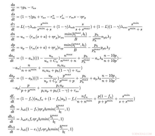 Mathematical Model Illuminates Intra-Plant Communication Dynamics