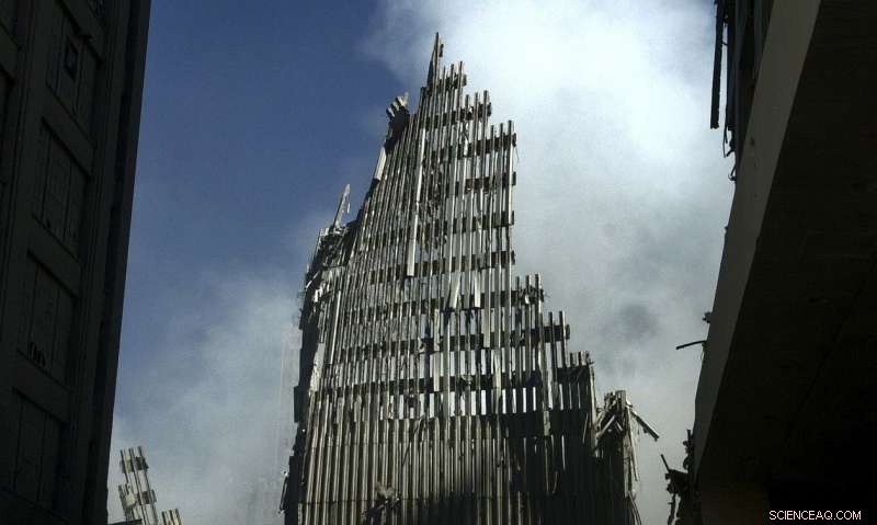 How Group Dynamics Enable Terrorist Operations