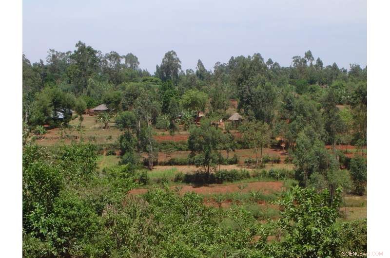 Satellite Imagery Reveals Global Poverty Levels