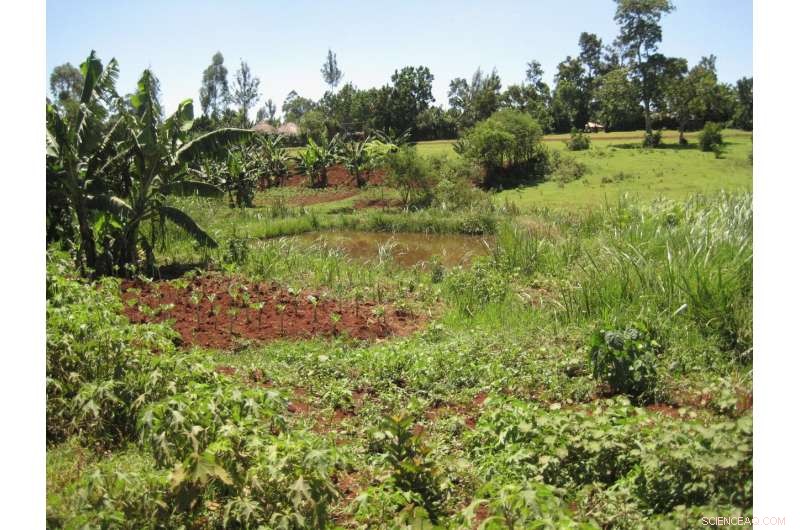 Satellite Imagery Reveals Global Poverty Levels