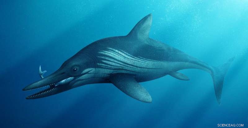 Advanced CT Scan Unlocks Secrets of Giant Prehistoric Ichthyosaur Skull