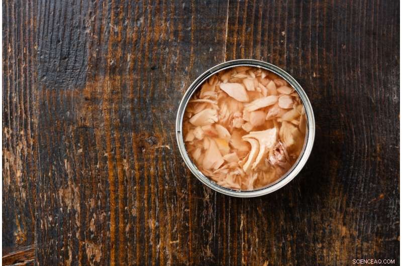 Modern Slavery Laws Needed: Uncovering Slave Labor in Every Tuna Can