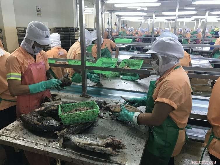 Modern Slavery Laws Needed: Uncovering Slave Labor in Every Tuna Can