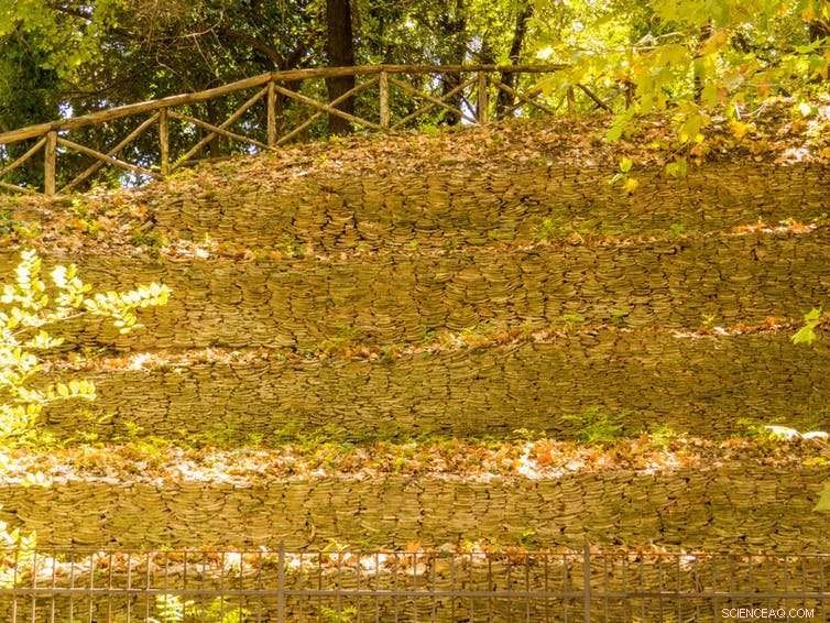 Ancient Civilizations Pioneered Circular Economy Principles Through Early Recycling