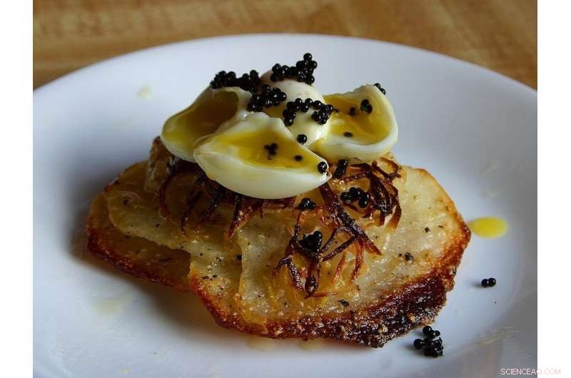 High Society Demands Ethical Fine Foods