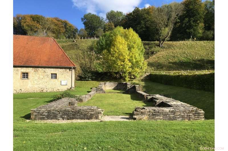 Unveiling Women’s Contributions to Medieval Manuscript Production