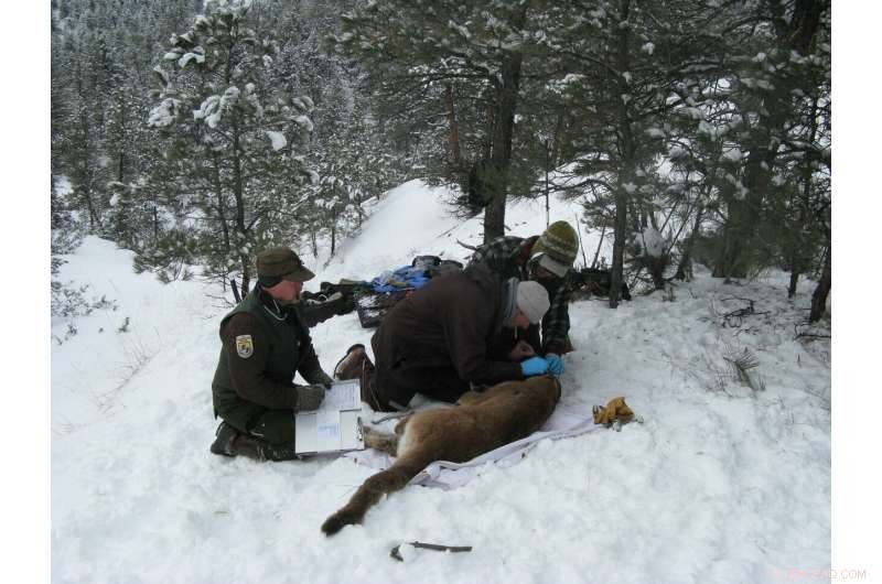 Federal Shutdown Halts U.S. Scientific Research, Impacting Critical Projects
