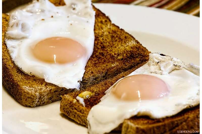 Why Do Egg Whites Turn White When Cooked? The Science Explained