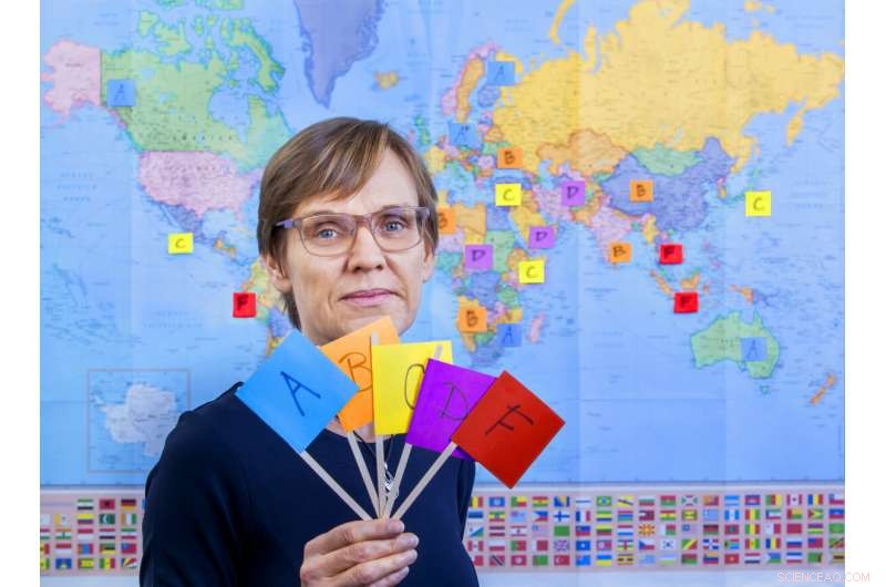 Assessing Nations: How Country Ratings Influence Global Behavior