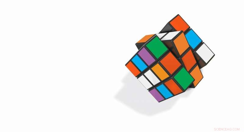 Vital Signs: How Ambiguity Shapes Human Behavior and Incentives