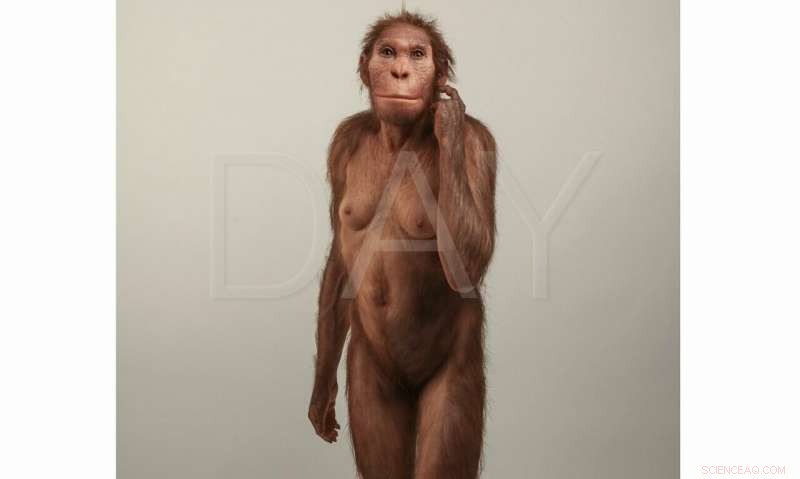 Scientists Confirm Two Skeletons Belong to the Same Early Hominin Species