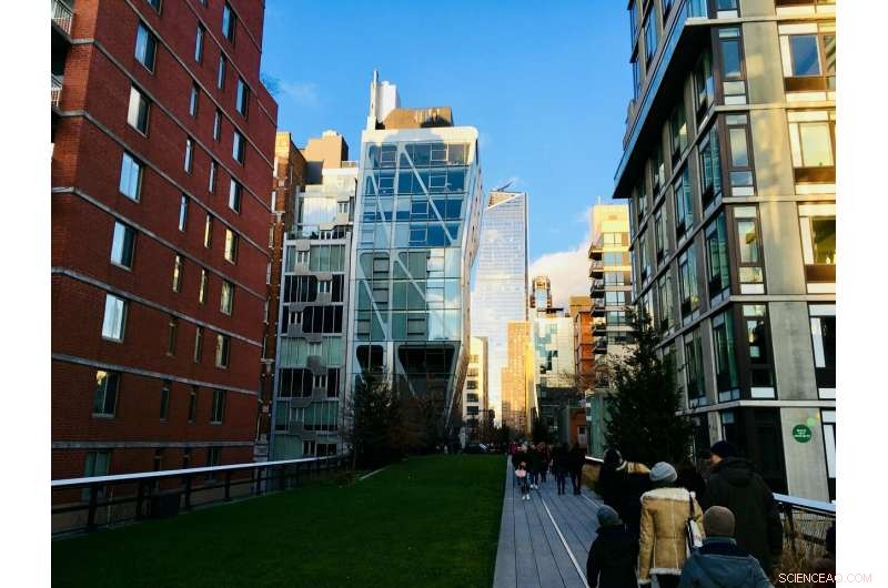 Study Reveals Income & Education Gap in Access to Urban Green Spaces